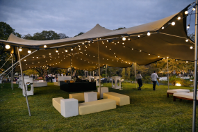 Concept Canvases Pagoda Marquee Hire Profile 1