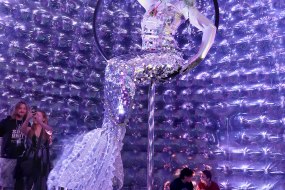 Fantasea Aerialists for Hire Profile 1