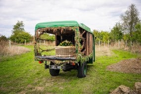 LD Celebrant Celebrant
Hire Profile 1