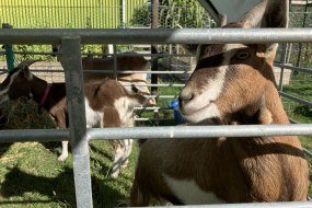 Fentertainment Jukebox Hire Profile 1