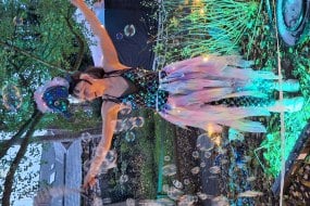 Fantasea Bubbleologists Hire Profile 1