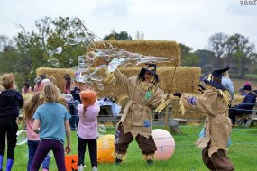 Fancy Entertainment Ltd. Bubbleologists Hire Profile 1