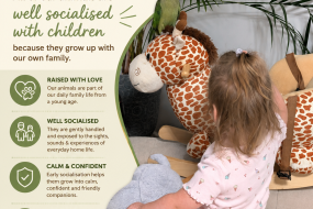 Yeldham Animal Parties Animal Parties Profile 1