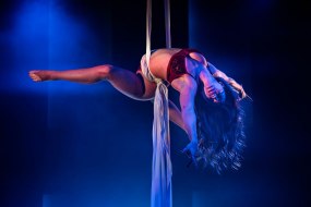 House of Ents Ltd. Aerialists for Hire Profile 1
