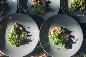 Fresh Catering & Events Event
Catering Profile 1