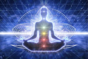 Guided Insights by Torah Palm Reader & Tarot Reader Profile 1