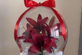 Becca’s Blooms and Balloons Balloon Decoration Hire Profile 1