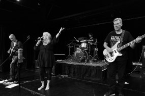 The Alternatives Band Bands and DJs Profile 1