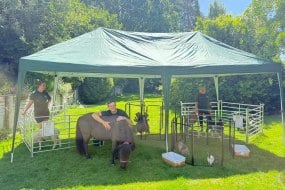 Meadows Mobile Farm Animal Parties Profile 1
