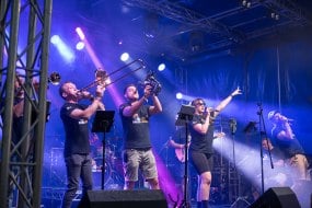 Brass Monkees 60s Cover Bands Profile 1