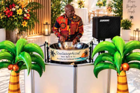Steelasophical Steel Band DJ Musician
Hire Profile 1