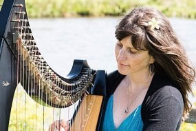 Céline Boisson Harpist Musician
Hire Profile 1