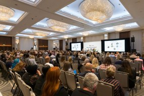 John Moloney Photography Hire a Portrait Photographer Profile 1