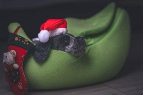 Adept Imagery Hire a Photographer Profile 1