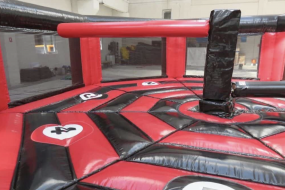 Rodeo Bull Norwich Bouncy Castle Hire Profile 1