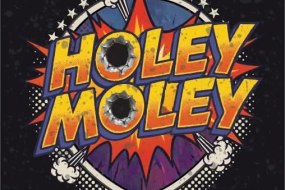 Holey Moley Function Band Hire Profile 1