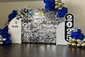 Party Rentals Plug Sequin Wall Hire Profile 1