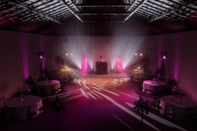Immersive Elements