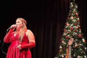 Silver And Silk Events Acoustic Band Hire Profile 1