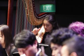 Just Harp Things | Kimberly Wong Classical Musician Hire Profile 1