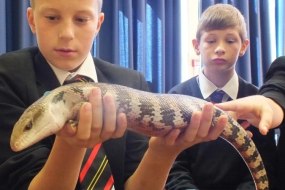 Animal Magic Parties Educational Entertainers Profile 1