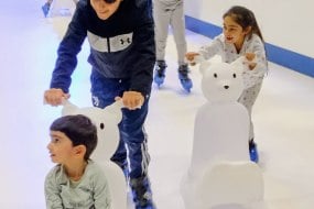 The Traditional Game Hire Company Mobile Ice Rink Hire Profile 1