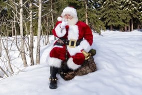Santa Bell Santa
Hire Profile 1