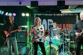 The Alternatives Band Band Hire Profile 1