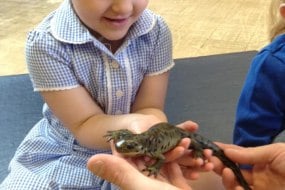 Wriggly Roadshow Educational Entertainers Profile 1