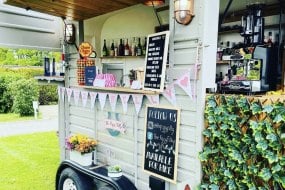 The Fizzy Filly Crepes Vans Profile 1