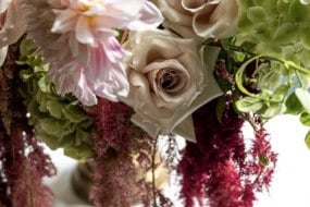 Anomis Flowers Florists Profile 1