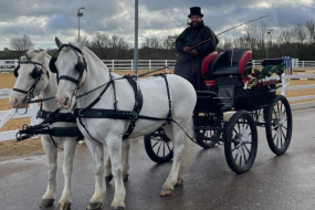 Olde Carriage Company Horse Drawn Carriages Profile 1