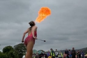 Bowtie Productions LLP Circus Entertainment Profile 1