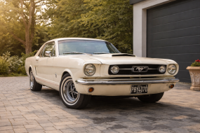 Mustang Maddie Transport Hire Profile 1