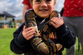 Wriggly Roadshow Children's Party Entertainers Profile 1