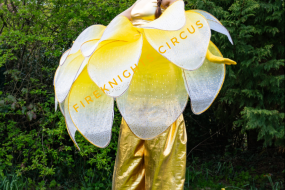 Fire Knights Circus Stilt Walkers Profile 1