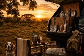 4BAR4 Prosecco Van
Hire Profile 1