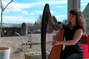 Céline Boisson Harpist Harpist Hire Profile 1