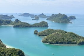 Social jungle Drone Hire Profile 1