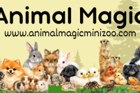 Animal Magic Animal Parties Profile 1