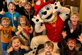 TSB Entertainment Soft Play Hire Profile 1