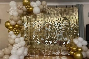 DJ Smurf Sequin Wall Hire Profile 1