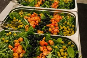 Cole Amusements Mediterranean Catering Profile 1
