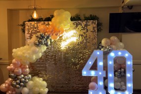 Delissia’s Designs Sequin Wall Hire Profile 1