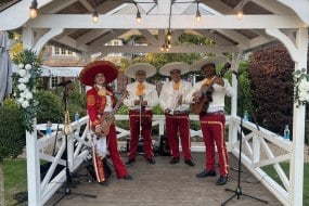 Mariachi Tierra Y Alma Hire a Latin Band Profile 1