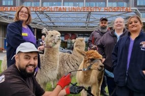 Ghazi Alpa Animal Parties Profile 1