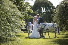 Big Day in a Box Ltd Wedding Planner Hire Profile 1