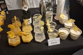 Advanced Staffing Bar Staff Profile 1