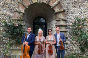 Karina Dey Violin Wedding Band Hire Profile 1