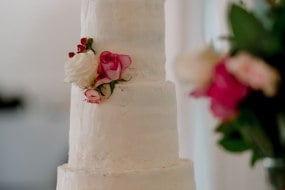 Rinas Cakes and Bakes Birthday Party Catering Profile 1
